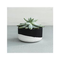 Raysin 250 Polvere di ceramica per colata nera