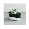 Raysin 250 Polvere di ceramica per colata nera