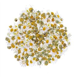 Fiori secchi di camomilla