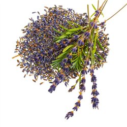 Fiori Di Lavanda Secchi 4g