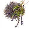 Fiori Di Lavanda Secchi 4g