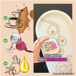 JESIN SHEASEAL: Sigillante naturale e alimentare per JESIN e Polveri da Colata (100 g)