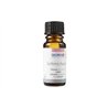 Glorex Schiuma Concentrata: 10 ml, per Sapone e Palline da Bagno