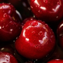 Fragranza Lost Cherry